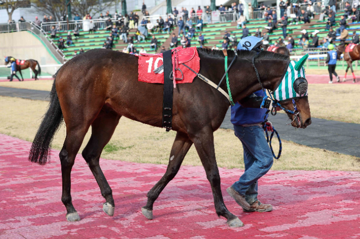 1등급 말들의 1200m 단거리 한판승부, 7월 마지막 경주 승자는 누구?