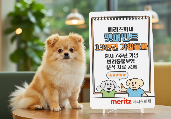 ⓒ메리츠화재