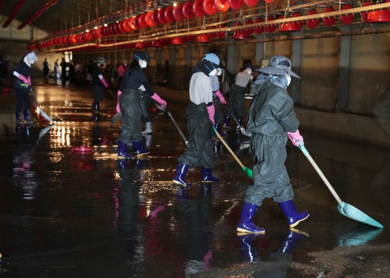 아산시의회가 지난 26일 집중호우 피해농가인 엽치읍 소재 양계장 축산농가를 찾아 복구 자원봉사에 참여했다.(아산시의회 제공)