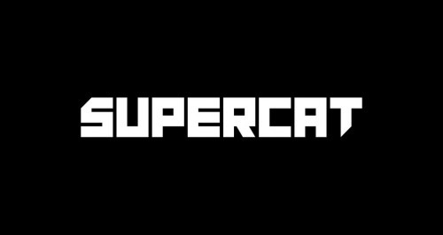 슈퍼캣, 신규 게임 개발팀 ‘하이퍼캣(Hypercat)’ 출범