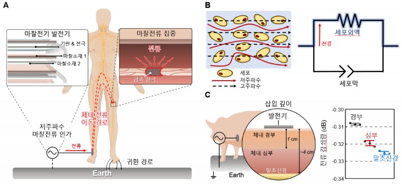 (그림1) 체내 전류 이동 경로 제어를 통한 신경치료 기술 개요 (사진제공=연세대)