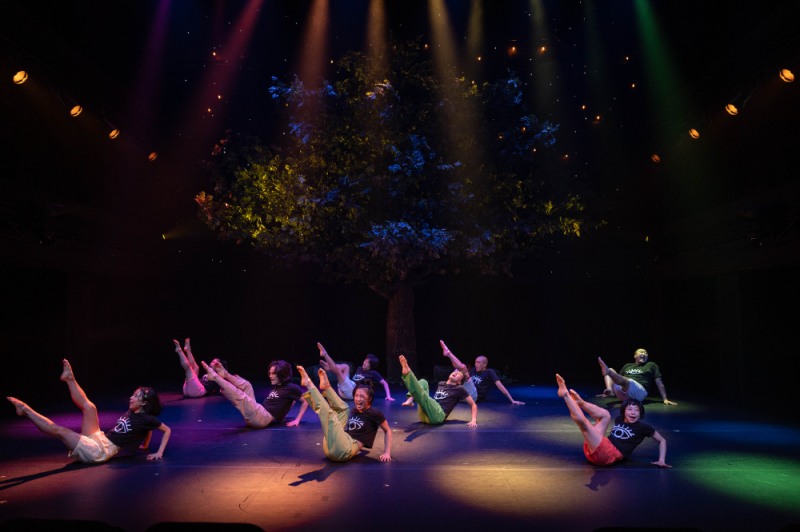 진심감성∙국립현대무용단 취약계층 어린이 가족에 문화복지 후원