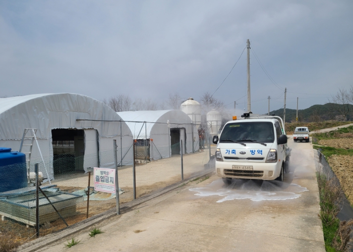 광주광역시보건환경연구원, 여름철 동물의료지원반 운영 (광주광역시 제공)