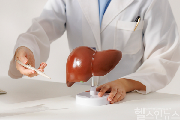 간염은 다양한 원인으로 발생하며, 간암 예방을 위해선 정기검진과 예방이 필수다. (클립아트코리아)