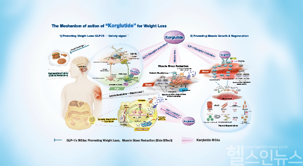 ‘코글루타이드(Korglutide)’ 작용 기전 (케어젠 제공)