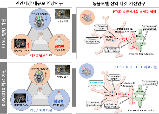 류인균 교수 연구팀 연구성과 관련 이미지 (사진제공=이화여대)