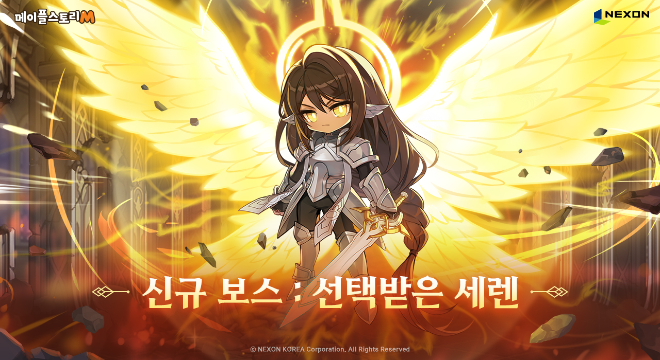 ⓒ㈜넥슨