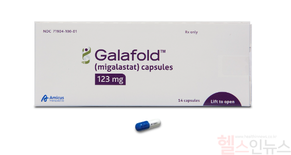 갈라폴드 이미지 (한독 제공)