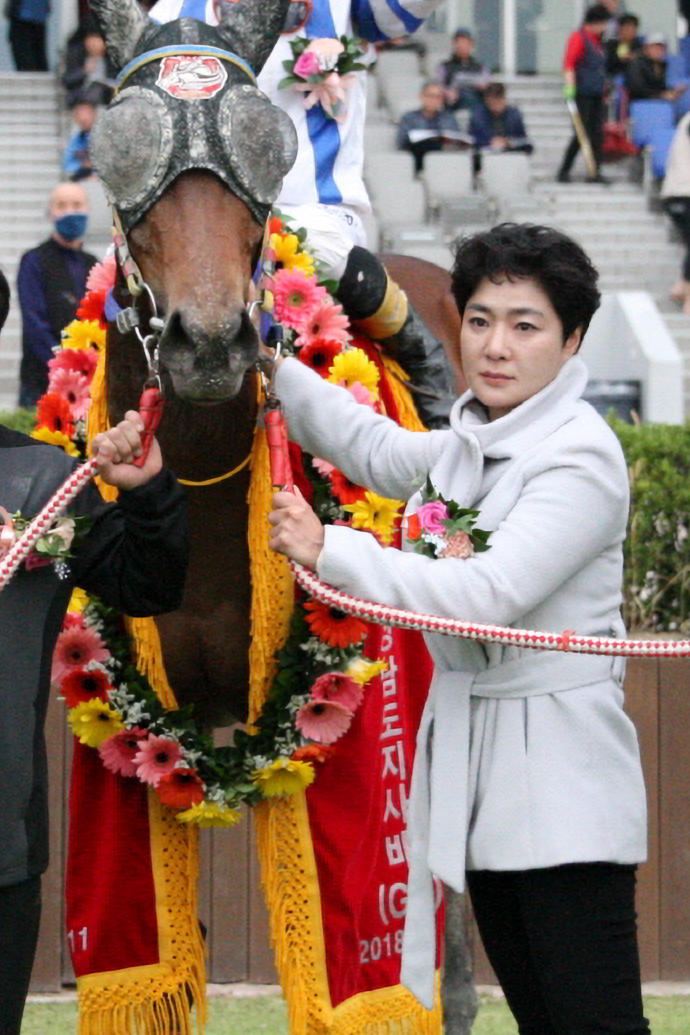 이신우 조교사_18년 11월 11일 경상남도지사배