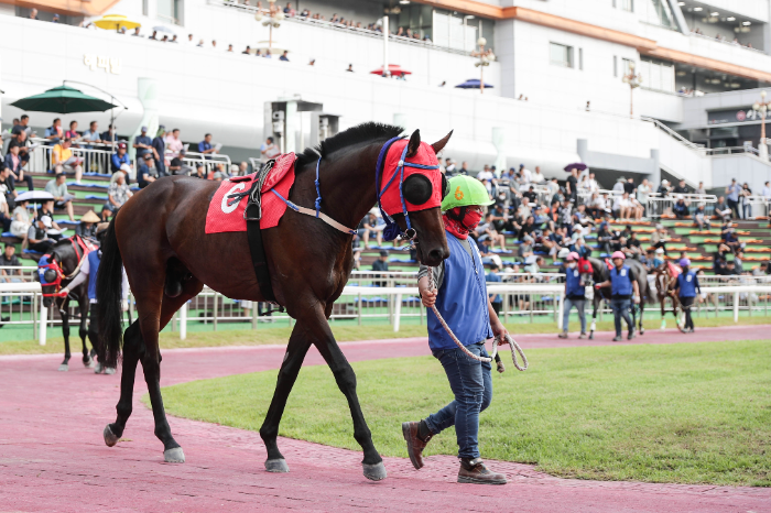 24년8월4일 KRA컵 클래식 글로벌히트