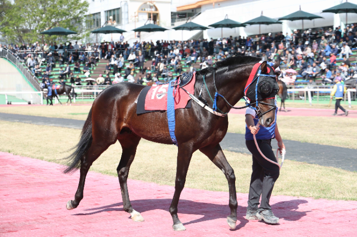 25년4월20일 YTN배 스피드영