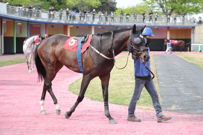 25년4월27일 뚝섬배 원더풀슬루