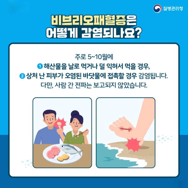 비브리오패혈증 카드뉴스