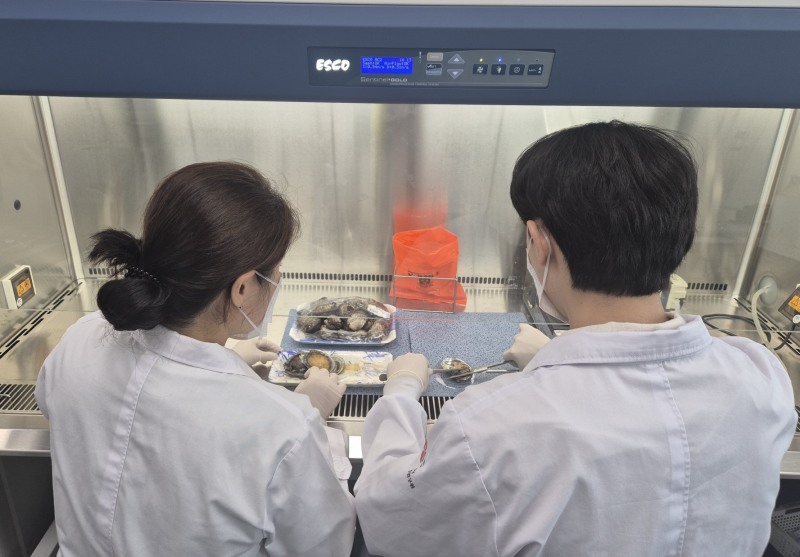 비브리오패혈증 검체 검사 (사진제공 = 광주광역시)