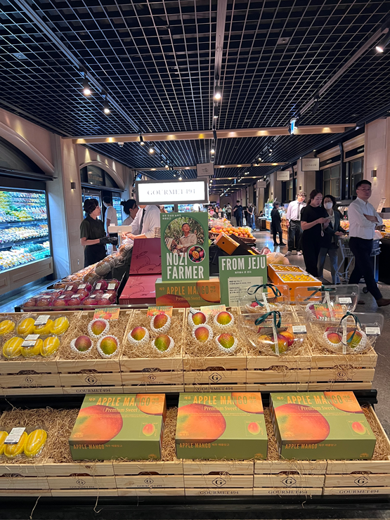 제주 과일 브랜드 ‘노지’, 갤러리아 명품관 WEST 팝업 오픈
