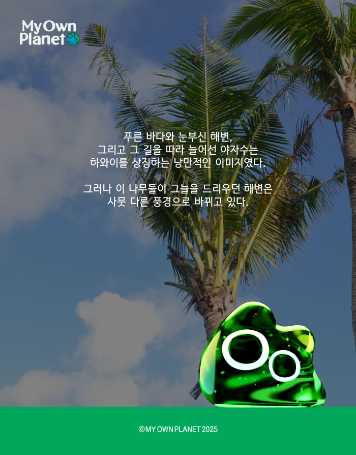 마이오운플래닛(My Own Planet) 기후 행동 실천 캠페인 ②  ‘하와이의 야자수가 사라진다면’