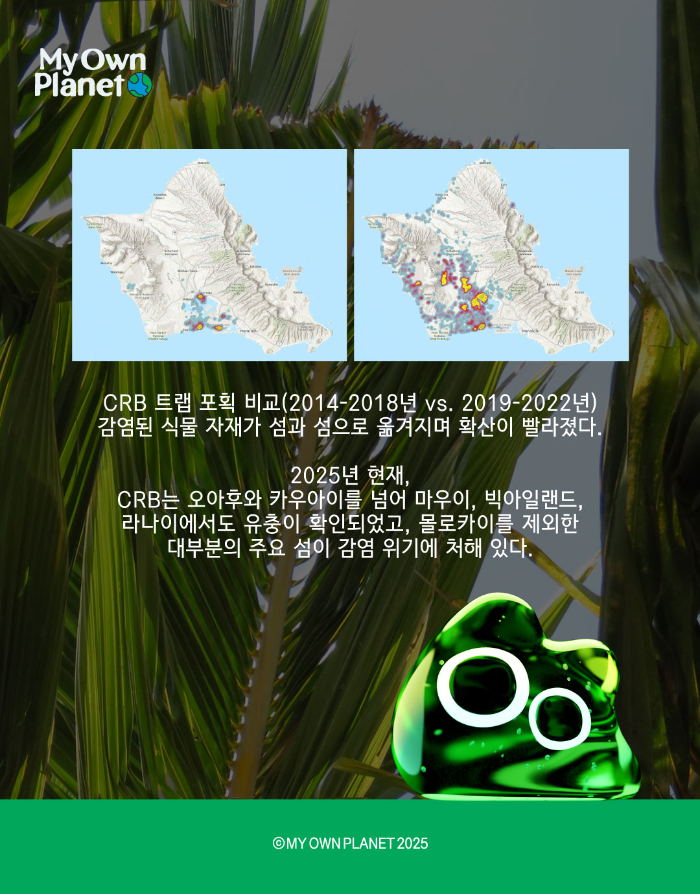 마이오운플래닛(My Own Planet) 기후 행동 실천 캠페인 ②  ‘하와이의 야자수가 사라진다면’