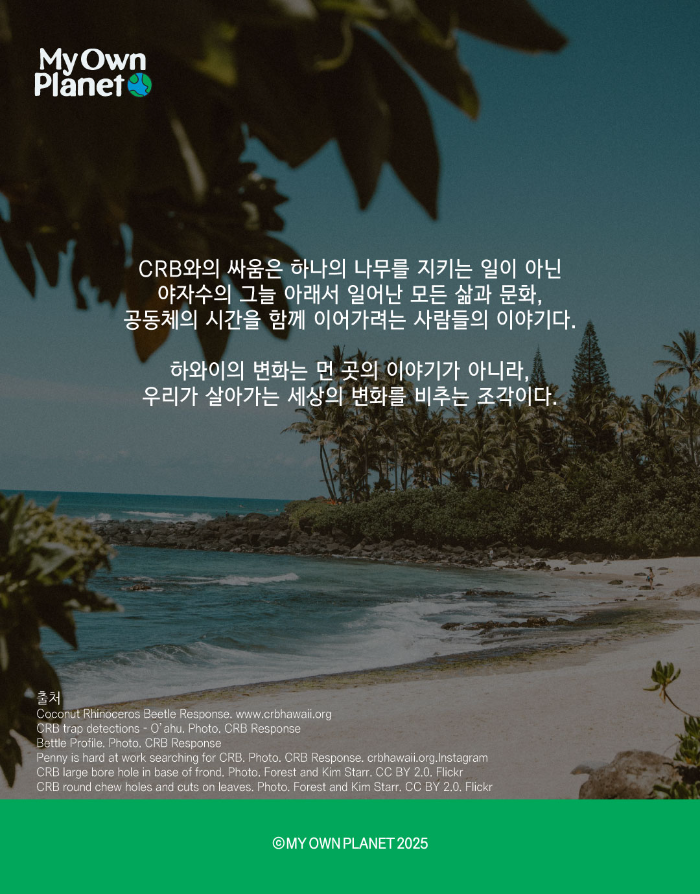 마이오운플래닛(My Own Planet) 기후 행동 실천 캠페인 ②  ‘하와이의 야자수가 사라진다면’