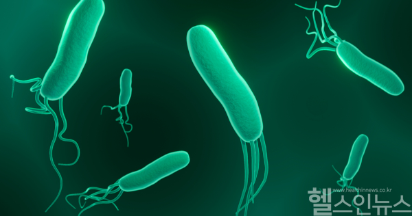 Study results show H. pylori eradication therapy reduces osteoporosis risk in women over 50 by 29%. (Image: ClipArtKorea)