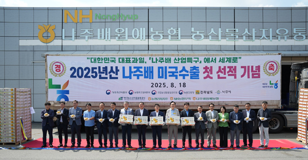 나주시 "2025년산 나주 원황배, 미국 수출 첫 출발"