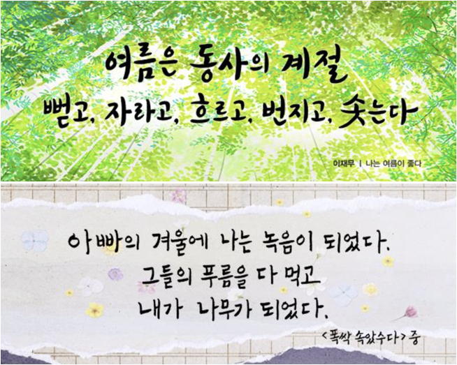 2025 여름편 이재무 시인 '나는 여름이 좋다', 2025 특별편 '폭싹 속았수다' ⓒ 교보생명