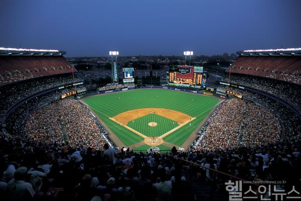 야구장에서 인기인 컵육회는 간편하지만 생고기 특성상 식중독 위험이 커, 안전한 섭취와 위생 관리가 필수다. (클립아트코리아)