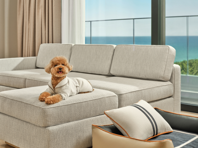 신라모노그램 강릉 레지던스 펫 객실