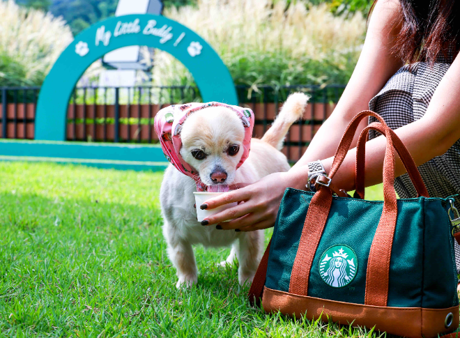 스타벅스 더북한강R점에서 퍼푸치노를 즐기는 반려견과 고객