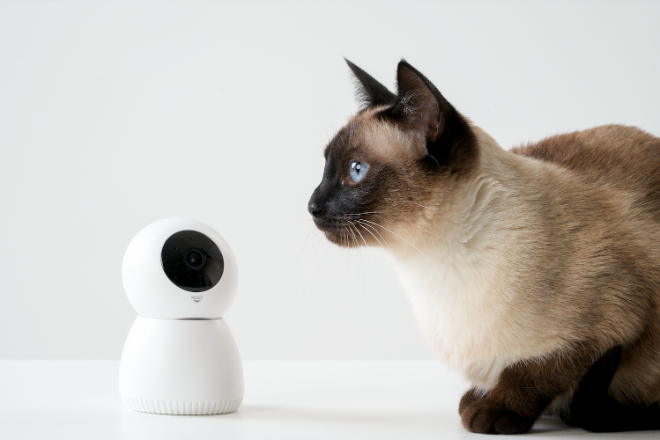 펫페오톡, ‘네이버 강세일’ 참여…AI 반려동물 홈캠 ‘도기캠’ 최대 20% 할인