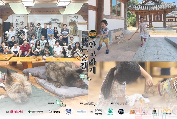 반려동물과의 치유여행, '안고가개 북스테이' 따뜻한 마무리 (사진 제공=마이펫플러스)