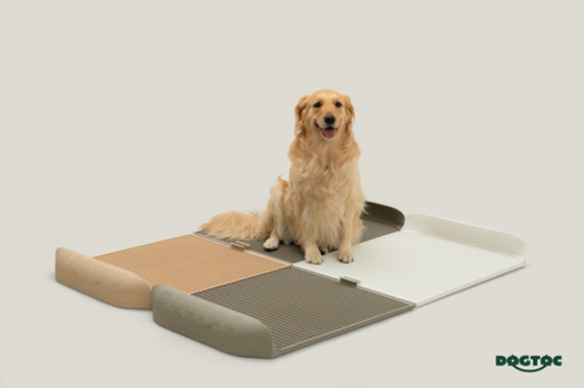 독톡, 대형견·다견가정 맞춤형 ‘XL 배변판’ 선보여