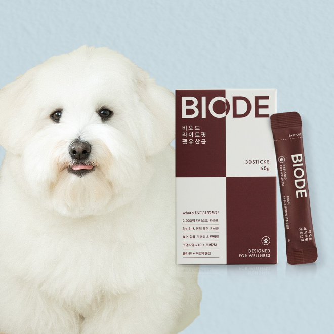 비오드, 체중 관리 특화 ‘라이트핏 펫유산균’ 선보여