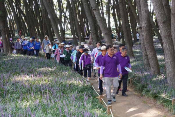 서천군 보건소, 맥문동 꽃 축제 건강걷기 행사 (충남 서천군 제공)