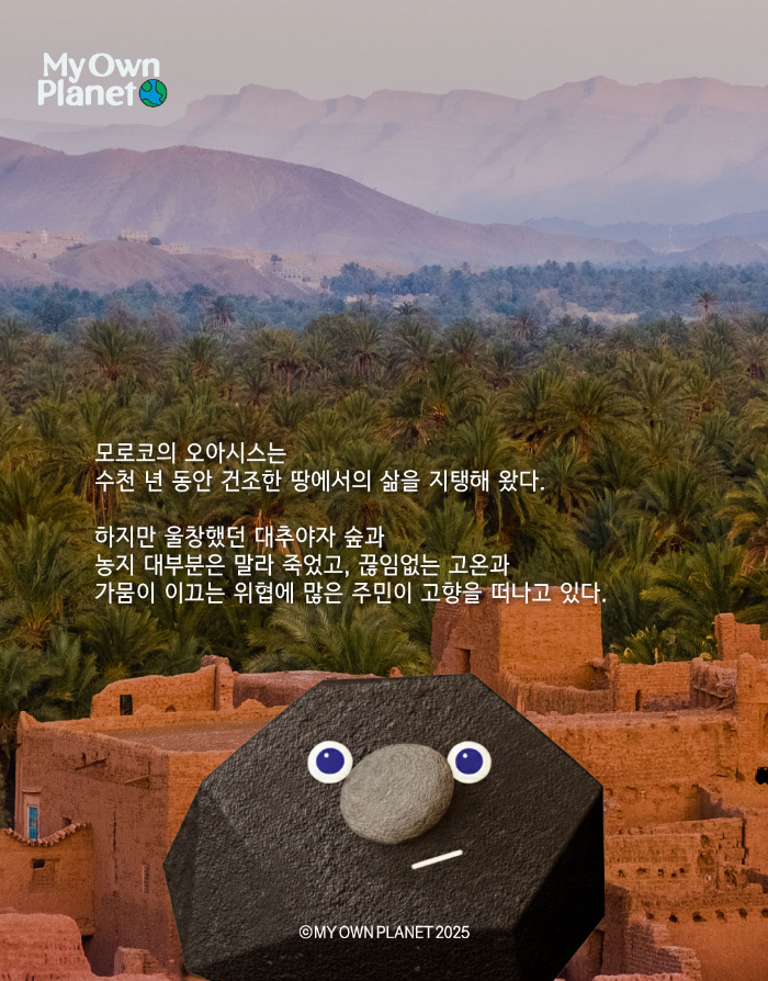 마이오운플래닛(My Own Planet) 기후 행동 실천 캠페인 ④“모래에 잠긴 오아시스”