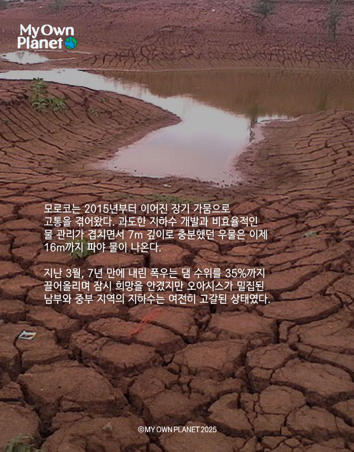 마이오운플래닛(My Own Planet) 기후 행동 실천 캠페인 ④“모래에 잠긴 오아시스”