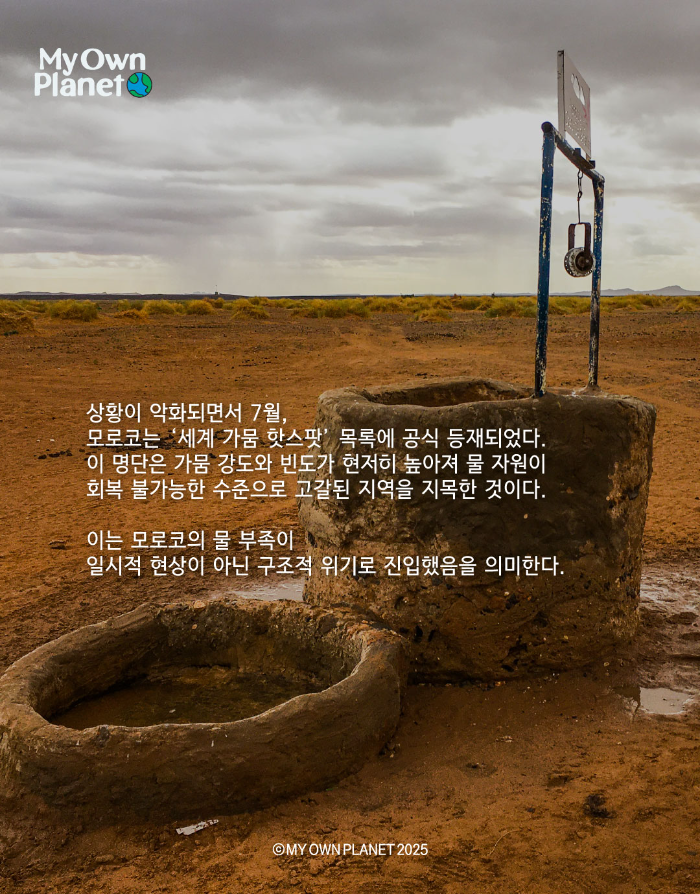 마이오운플래닛(My Own Planet) 기후 행동 실천 캠페인 ④“모래에 잠긴 오아시스”
