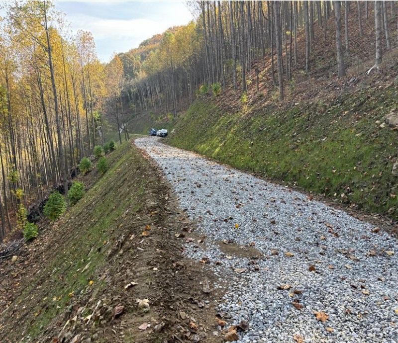 2024년 임도 신설지(아산시 제공)