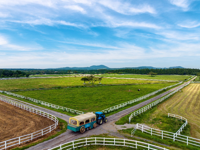 제주목장 전경