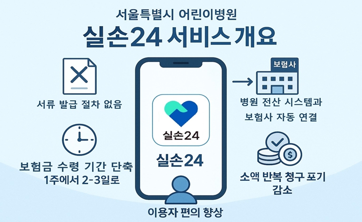 ‘실손24’ 서비스 개요 (서울시 제공)