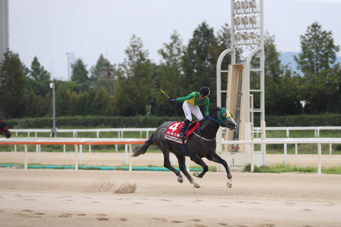 25년8월3일 kra컵 클래식 우승마 석세스백파