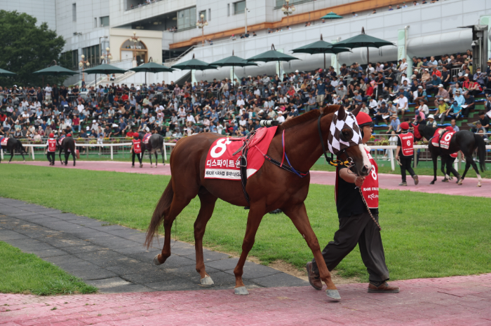 25년8월3일 kra컵 클래식 출전마 디스파이트윈