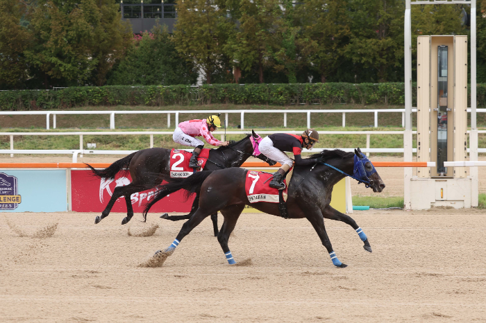 제8회 코리아컵&코리아스프린트, 일본 ‘딕테이언’, 홍콩 ‘셀프임프루브먼트’ 나란히 정상