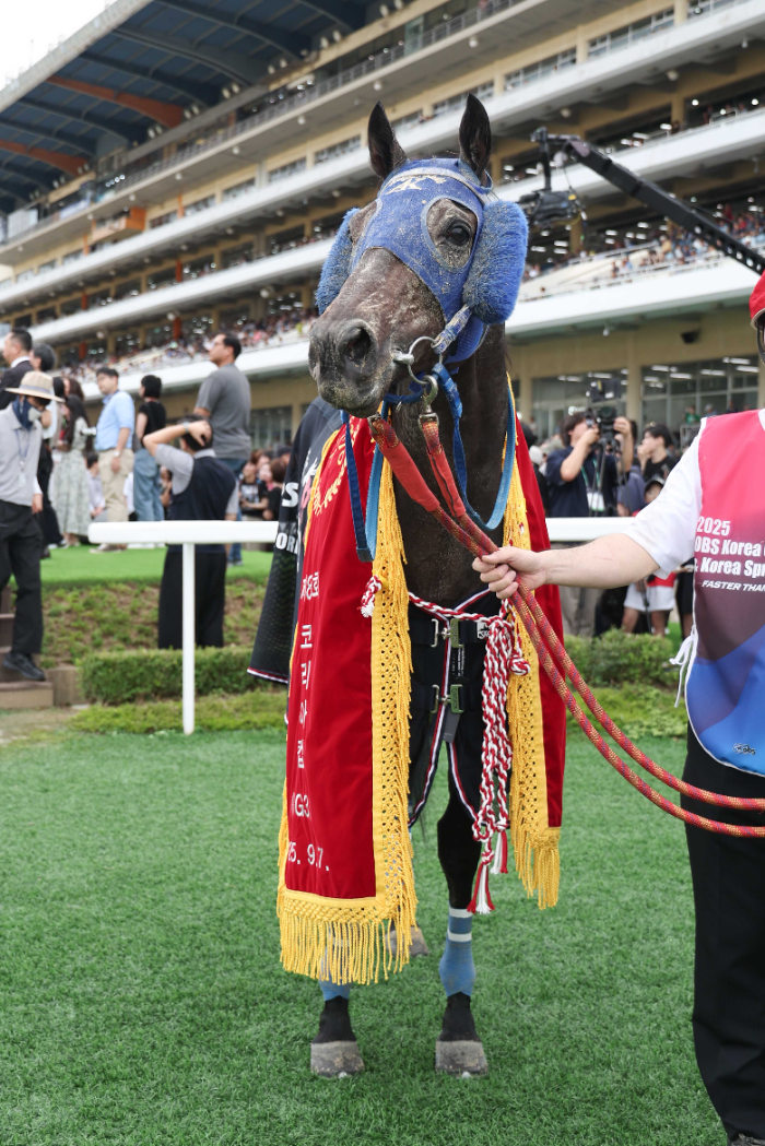 제8회 코리아컵&코리아스프린트, 일본 ‘딕테이언’, 홍콩 ‘셀프임프루브먼트’ 나란히 정상