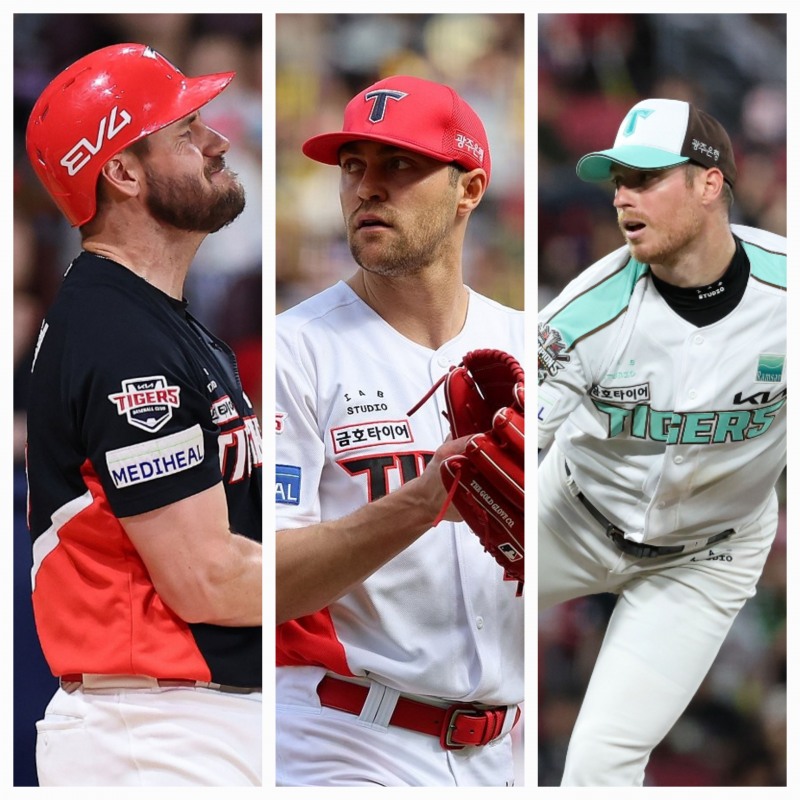 왼쪽부터 위즈덤, 네일, 올러