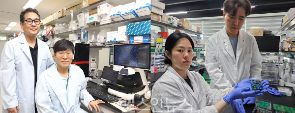 From left: Dr. Moo-Seung Lee, Principal Investigator at KRIBB; Dr. Kyung-Soo Lee, co-first author; Dr. Jai Eun An, co-first author;  and  Professor Oh Seok Kwon, co-principal investigator at Sungkyunkwan University (Photo courtesy of the Korea Research Institute of Bioscience and Biotechnology)