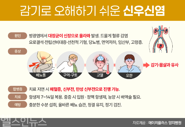 감기로 오해하기 쉬운 신우신염 (이미지 제공=에이치플러스 양지병원)