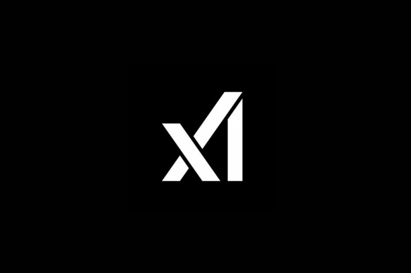 (출처=xAI 공식 X).