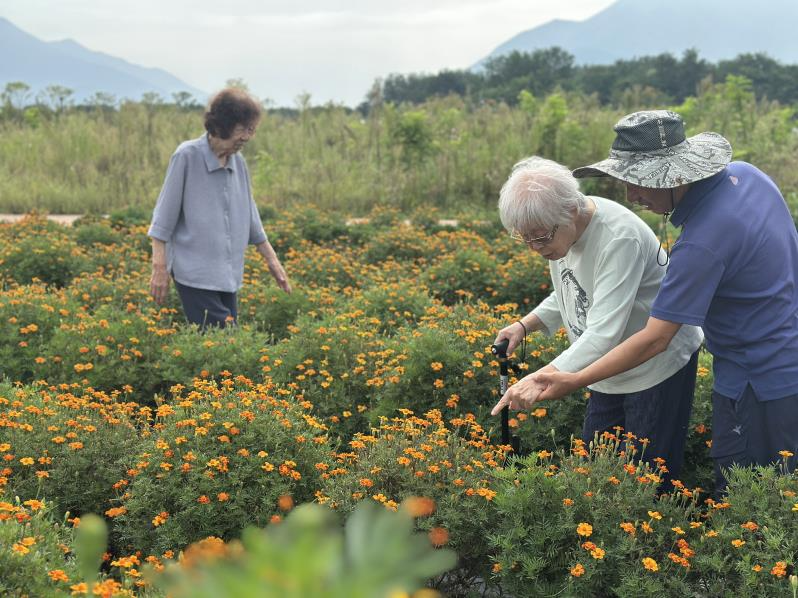 치매 어르신과 합께 치유농업 프로그램