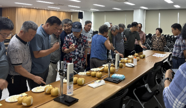 나주시농업기술센터에서 진행한 숙기 판정 컨설팅 모습. ⓒ 나주시