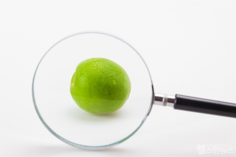 집에서 매실청을 담글 때는 매실 씨앗에 있는 아미그달린 성분이 독성을 일으킬 수 있어 반드시 씨를 제거하거나 충분히 숙성시켜야 안전하다. (클립아트코리아)